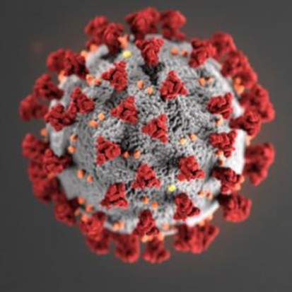 March 2020 E-Newsletter near syracuse ny image of coronavirus from t gschwender and associates